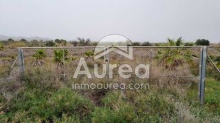 Finca r�stica en Ca�ada del Fenollar. Terreno r�stico en ca�ada del fenollar