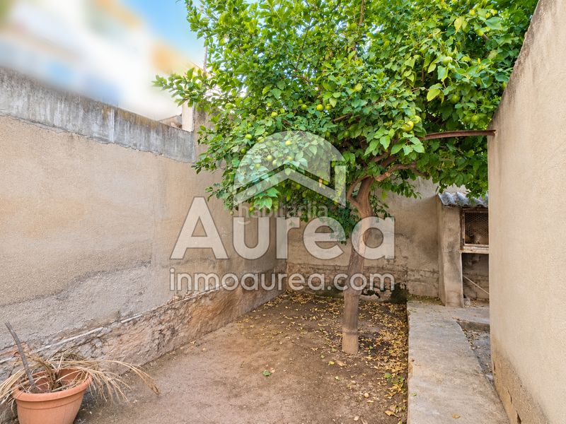 Foto 3830783e-c341-4156-84df-8586ece0afc3. Pis a Centro Sant Vicent del Raspeig