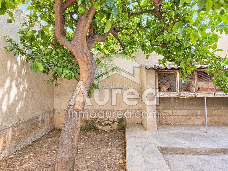 Foto 3c4ed8a0-adaa-482d-be73-973f148fb183. Pis a Centro Sant Vicent del Raspeig