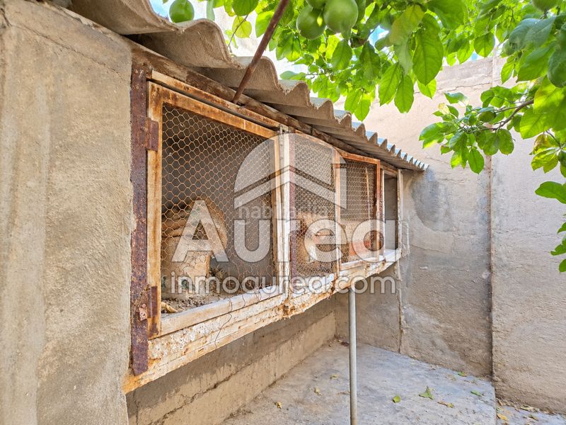 Foto 7eb293ca-81d7-482d-b824-dc08d6d868bc. Pis a Centro Sant Vicent del Raspeig