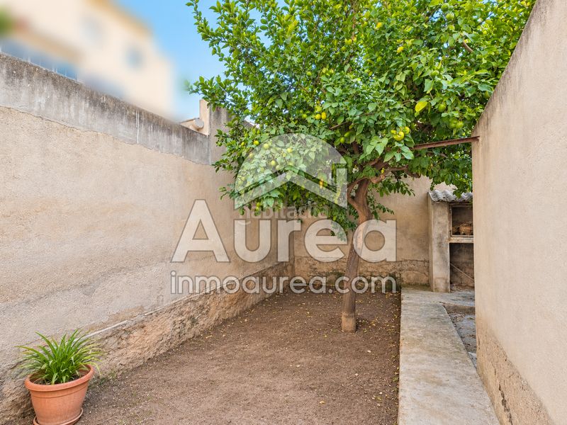 Foto d156a026-212f-451e-9bad-f89e157edeca. Pis a Centro Sant Vicent del Raspeig
