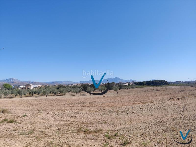 Foto 41c1006a-3ab7-4ee8-8707-98a0f3e335ff. Finca rústica a Sol y Luz Sant Vicent del Raspeig