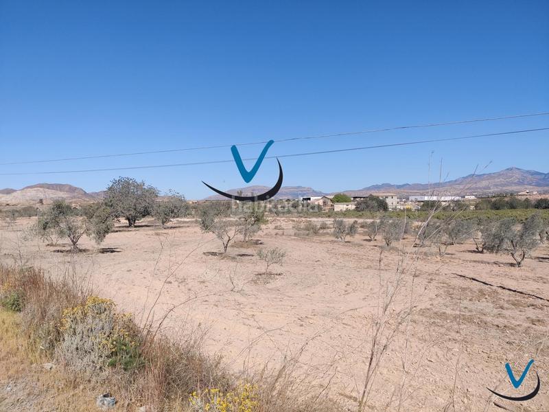 Foto 57d238e3-319f-4316-95f6-6da8195164ba. Finca rústica a Sol y Luz Sant Vicent del Raspeig