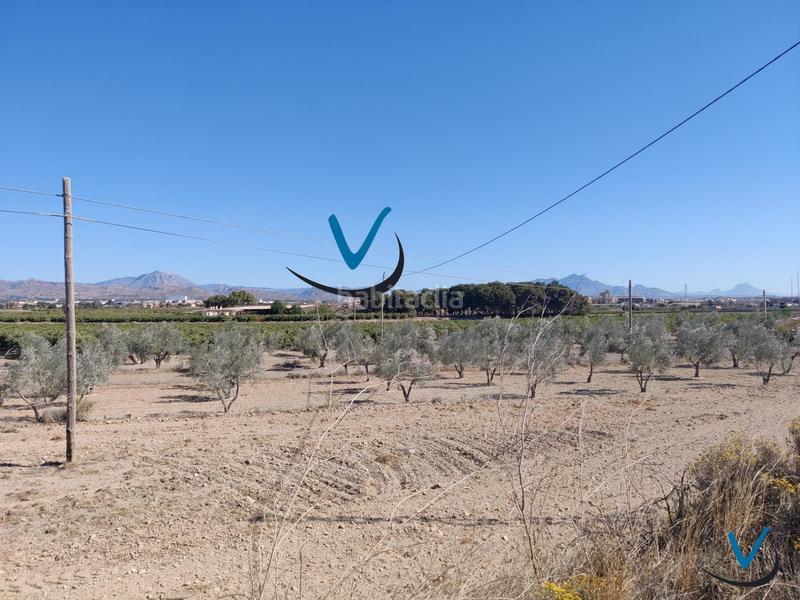 Foto 6df36d20-77a6-4387-a8c3-5c5fea1d7d89. Finca rústica a Sol y Luz Sant Vicent del Raspeig