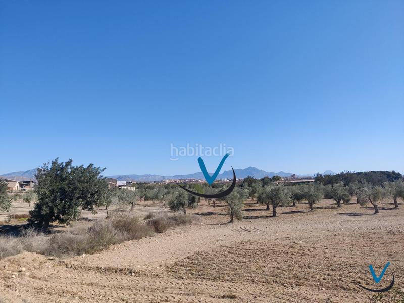 Foto d1a29649-32f8-4d74-9a75-ca10cd6f3897. Finca rústica a Sol y Luz Sant Vicent del Raspeig