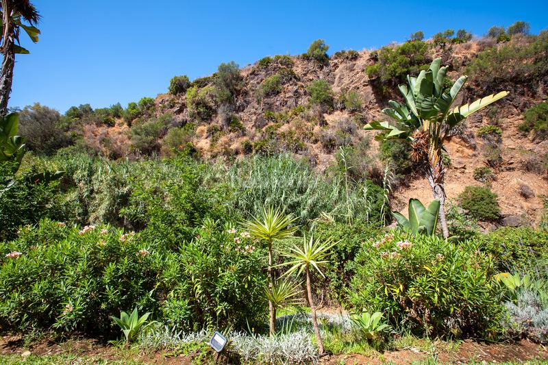 Foto f60382b4-35d7-45db-9d16-a85eca47abf6. Appartement dans urbanización golf Río Real 1d dans Marbella