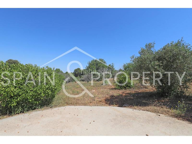 Foto 75b26918-46d4-41f1-b6e7-bada3dc1d1b6. Chalet  a la venta en suelo rústico en montserrat, valencia en Monserrat