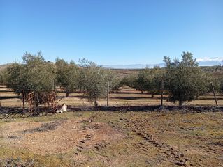 Landgut in Ventas de Huelma