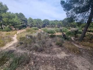 Residential Plot in Escandinavia-Cautivador. Gran terreno rústico en alfaz del pi
