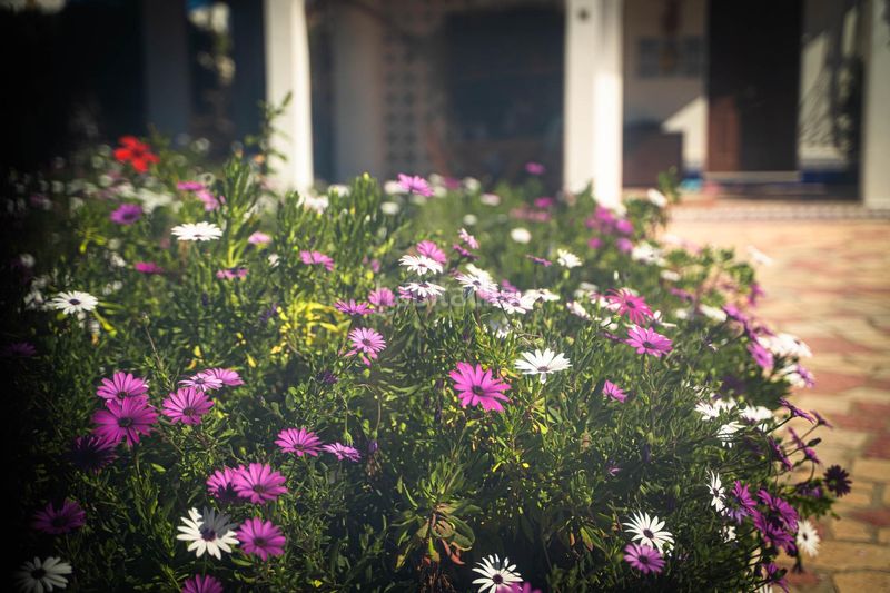 Foto 8556d34e-711c-4002-a7d2-050607bc657f. Casa aparellada amb aparcament piscina a L´Albir Alfàs del Pi (l´)