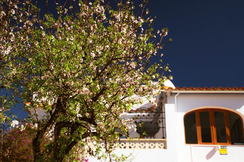 Foto cb7c1e3f-feac-403c-a57e-f1354c2bdbb6. Casa aparellada amb aparcament piscina a L´Albir Alfàs del Pi (l´)