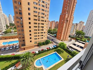 Apartament a Juzgados - Plaza de Toros. Espacioso apartamento en benidorm