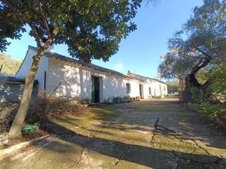 Mas à Ubrique. Venta finca rústica en los alrededores de ubrique