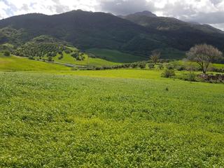 Terreny residencial a Zahara. Venta parcela con casa. zahara de la sierra