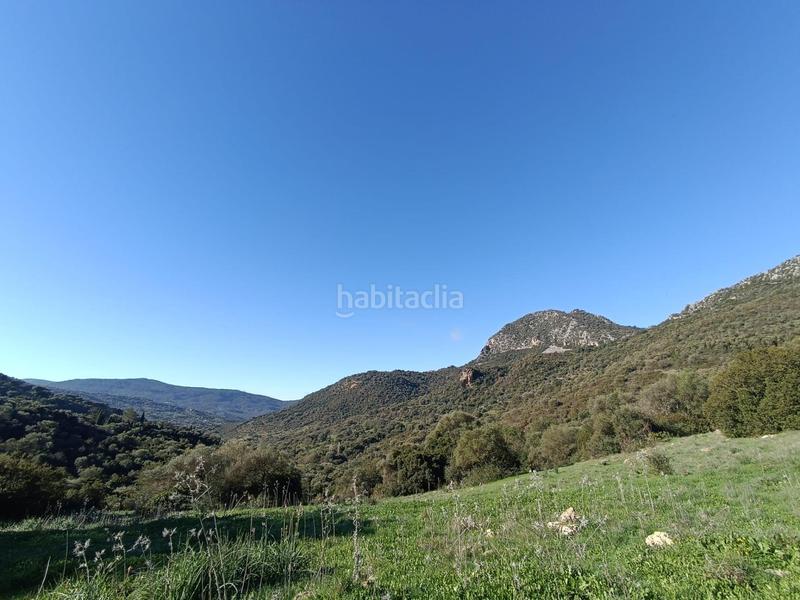 Foto 0b04db8d-7190-4a05-a254-64ea67fde83b. Masía venta finca rústica en los alrededores en Ubrique