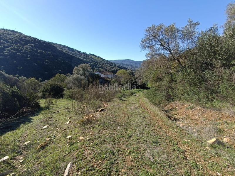 Foto 4881cf9c-92a9-466c-b209-9dd7b22b07e3. Masía venta finca rústica en los alrededores en Ubrique