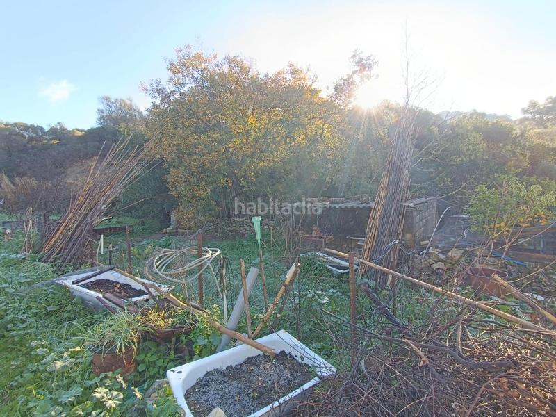 Foto d78b8b20-f94d-466c-832d-4ccbe37bb1a8. Masía venta finca rústica en los alrededores en Ubrique