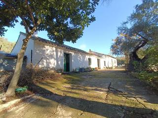 Terreny residencial a Ubrique. Venta finca rústica en los alrededores de ubrique