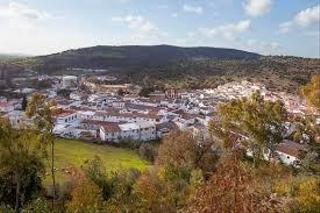 Terreny residencial a Bosque (El). Venta solar el bosque