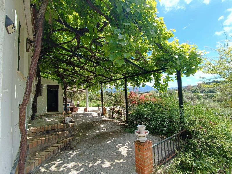 Foto 1f70a5da-7c64-4bd6-bb10-22e76c3be216. Terreny residencial a Prado del Rey