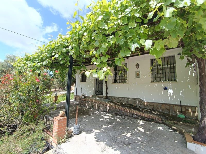 Foto 36fa29af-f603-4ce2-b00a-1b56b4b9a7f3. Terreny residencial a Prado del Rey