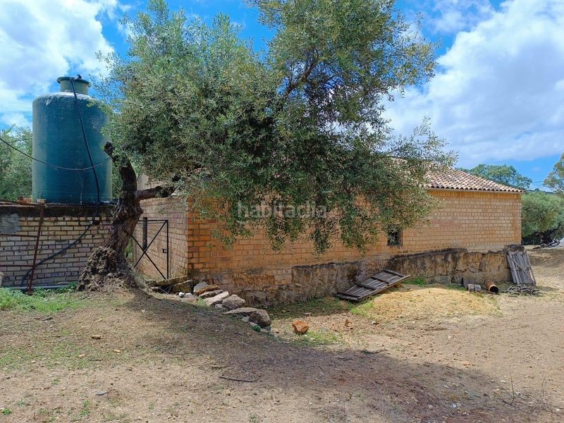 Foto b28e5cc7-48ad-4d07-9632-2172bfaf7c37. Terreny residencial a Prado del Rey