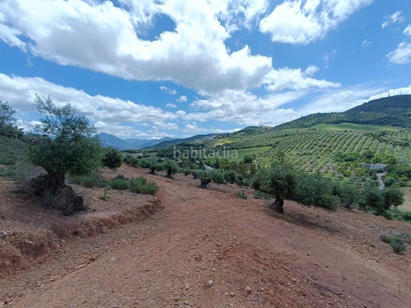 Foto c5d7265b-b56f-4825-b7cd-2fd6de820200. Terreny residencial a Prado del Rey