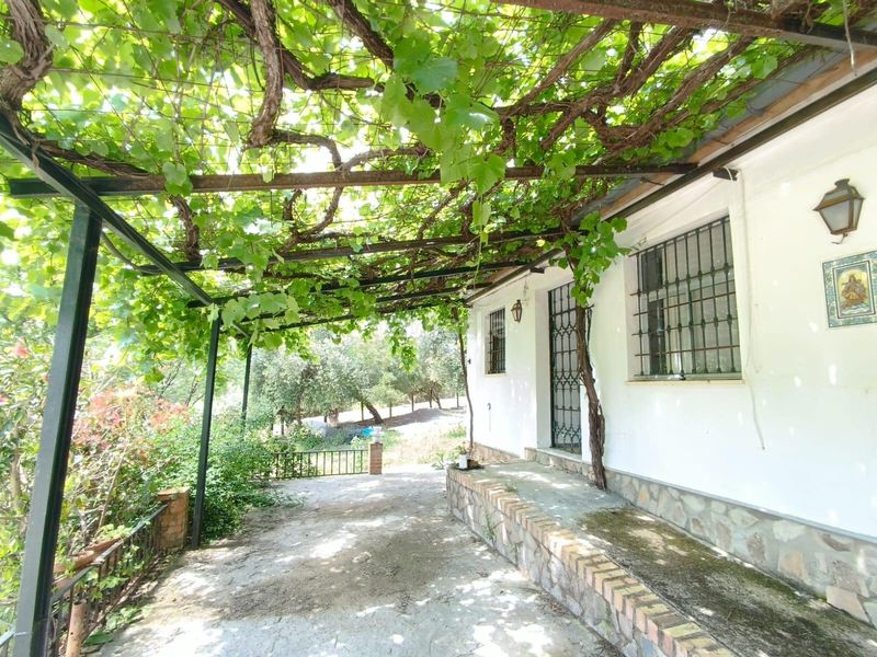 Foto d59949ec-5f31-40fd-9241-87203f8d9018. Terreny residencial a Prado del Rey