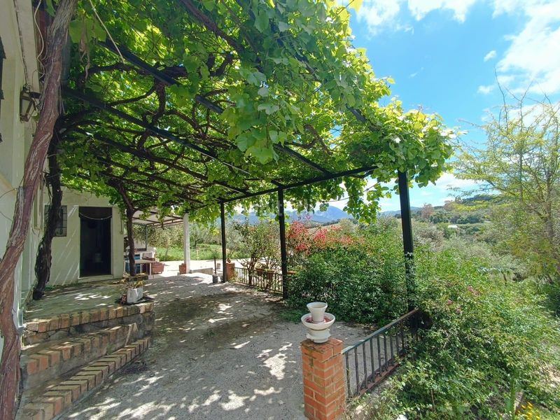 Foto e67e4d78-556c-4ee5-b378-2c0fab7158f6. Terreny residencial a Prado del Rey