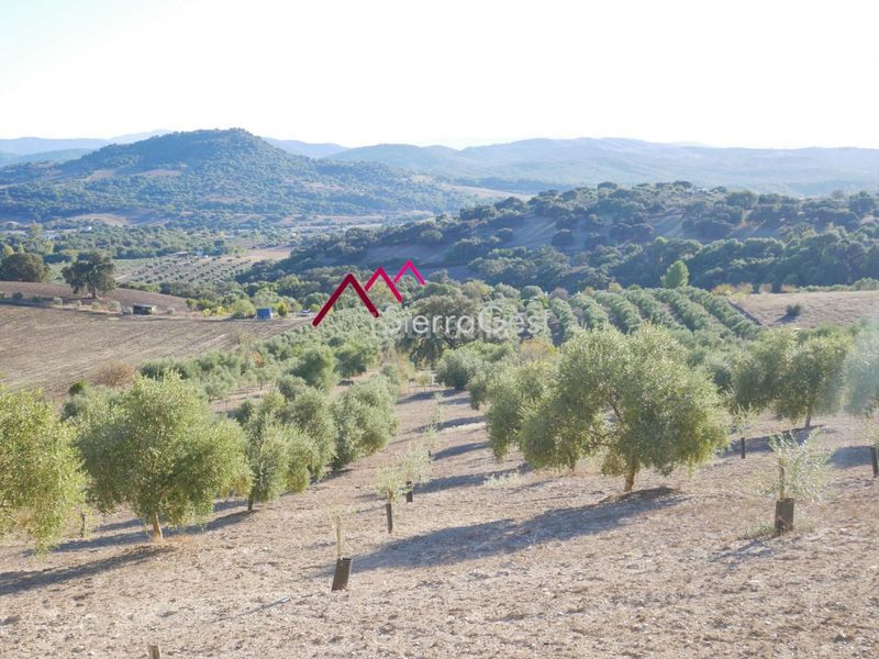 Foto 93b80684-c975-4152-bf9d-a7e5c26f0d06. Terreny residencial a Prado del Rey