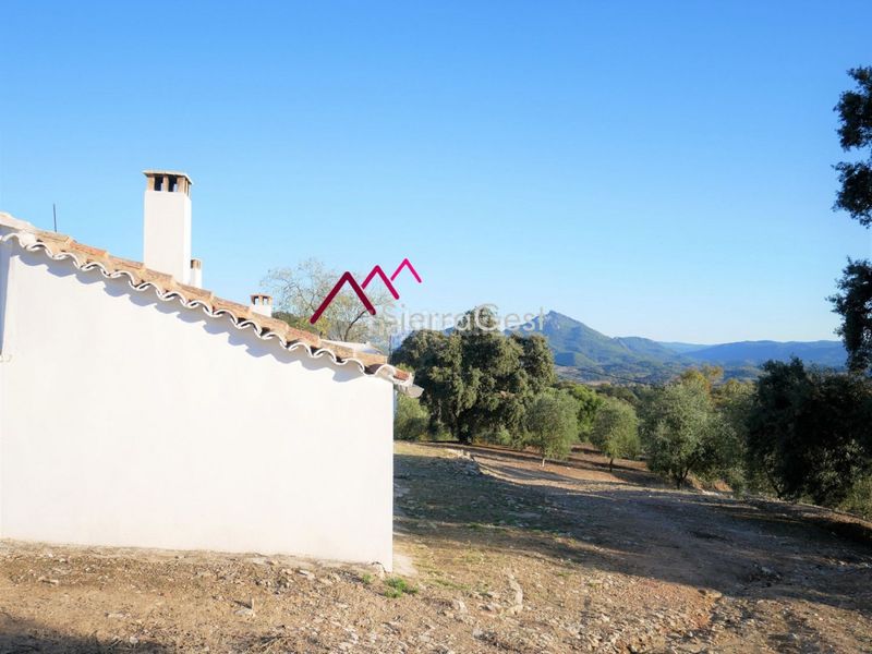 Foto f0038a82-313a-473f-978a-3a6c18188ca1. Terreny residencial a Prado del Rey