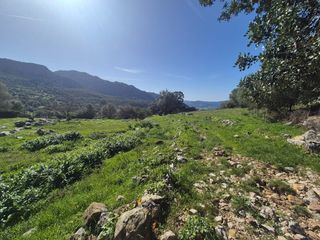Terreny residencial a Benaocaz. Parcela en venta en benaocaz