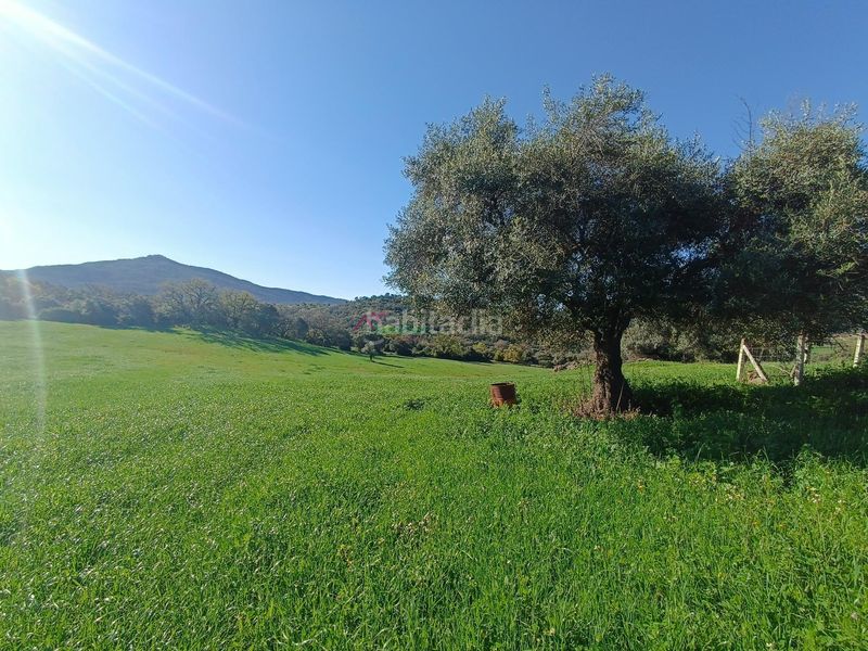 Foto 5b4e159d-75aa-4b5f-a4ac-e2f163667acb. Terreny residencial a Bosque (El)