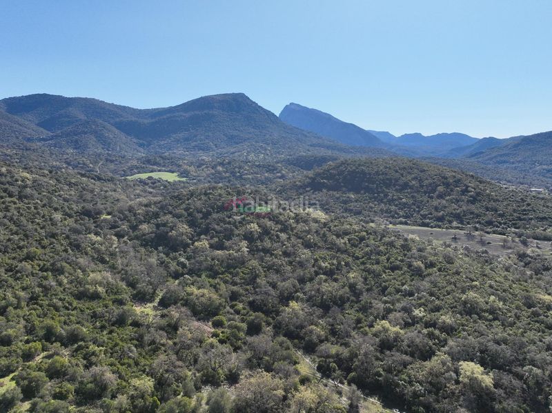 Foto c0ca25d1-f823-48f1-aa7b-373a25ee94cd. Terreny residencial a Bosque (El)