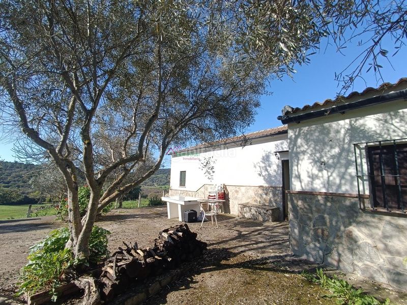 Foto c565da90-848e-4e93-98b1-13b24f43f3fb. Terreny residencial a Bosque (El)