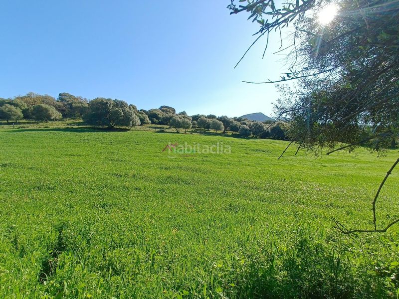 Foto d595c4e4-6359-43a6-989f-d99e197876ea. Terreny residencial a Bosque (El)