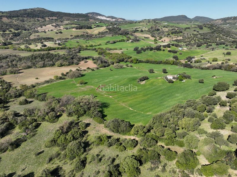 Foto e1a1a45d-e9bd-470a-a727-c0bb6890f938. Terreny residencial a Bosque (El)
