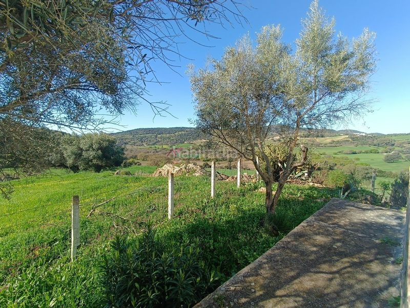Foto f87098e7-42e2-4b80-8c8a-e059c0c85ac3. Terreny residencial a Bosque (El)