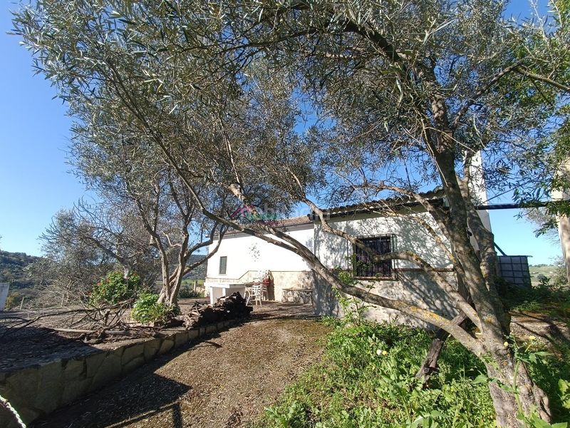 Foto faf4fa3c-bdb5-4ff7-9212-f54823e0b2f3. Terreny residencial a Bosque (El)