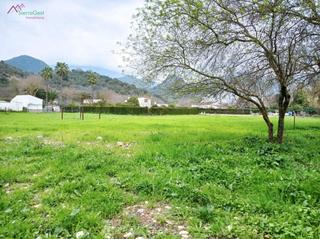 Terreny residencial a Benaocaz. Venta parcelas tavizna