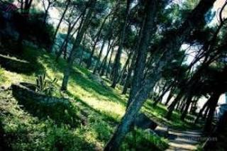 Terreny residencial a Ubrique. Venta solar ubrique