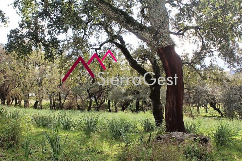 Foto 61c70ed8-2845-4103-8969-b94cc18e0f05. Terreny residencial a Cortes de la Frontera