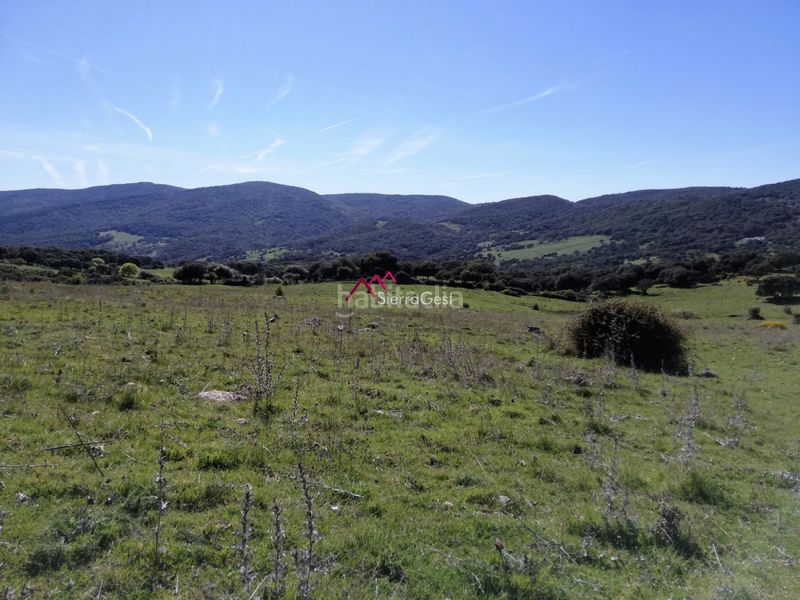 Foto d9d063e5-0405-4c20-a33a-cd6fd8b89038. Terreny residencial a Cortes de la Frontera
