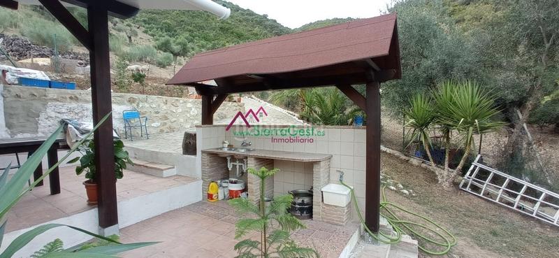 Foto 2792afc3-3161-4d90-b575-486d0dd201cb. Wohngrundstück in Benaocaz