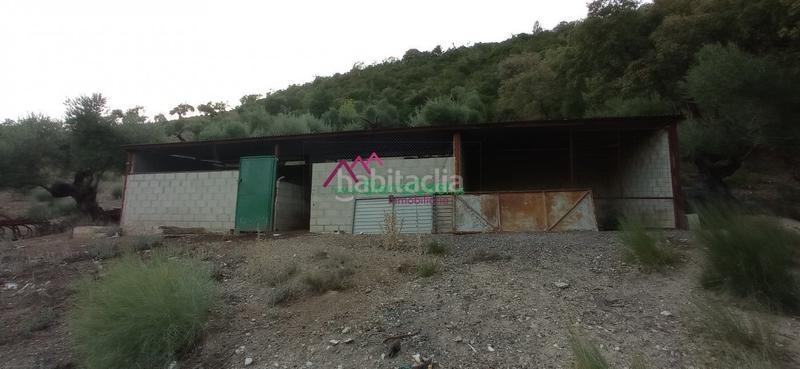 Foto 2f3b5f92-4e46-4df5-bcdc-f4f63c686a71. Wohngrundstück in Benaocaz