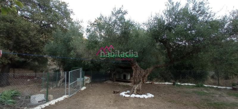 Foto 3456adc6-fdee-487c-9ecf-131a58f5b3b4. Wohngrundstück in Benaocaz