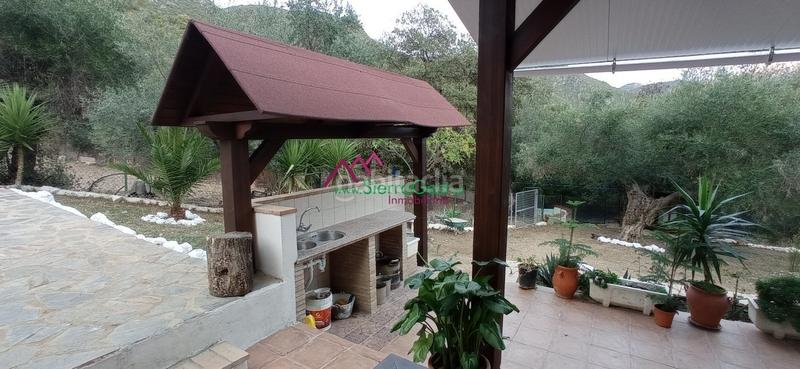 Foto 37cc5eaa-1f49-4dc8-a814-e92ca7f8e361. Wohngrundstück in Benaocaz