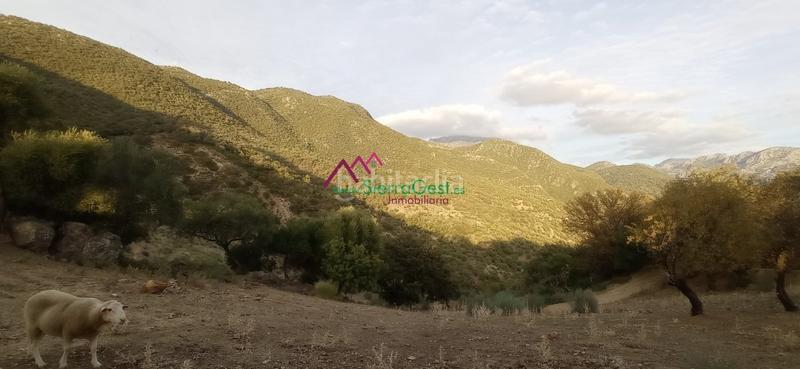 Foto 406db3d9-c40d-4c88-af26-d54db8b7f532. Wohngrundstück in Benaocaz