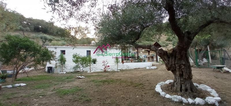 Foto 437734bd-6f41-4d69-9419-dba5e51cbe8c. Wohngrundstück in Benaocaz