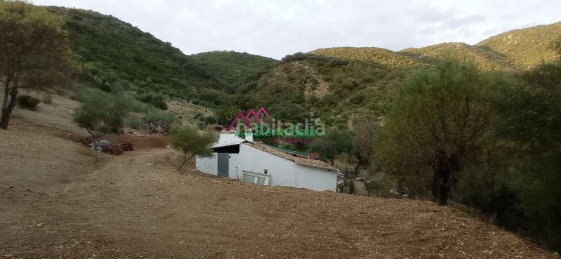 Foto 482beb9a-5181-4eb0-a1b2-f6c080fa4984. Wohngrundstück in Benaocaz